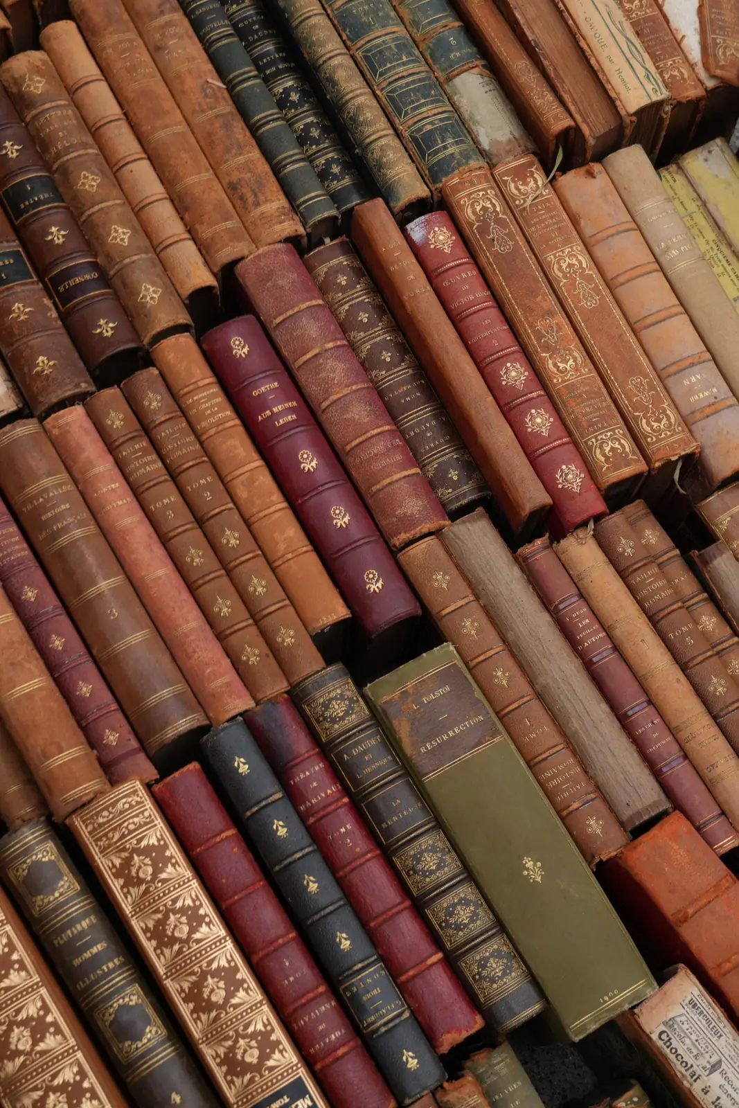 Shelves of leather-bound reference books